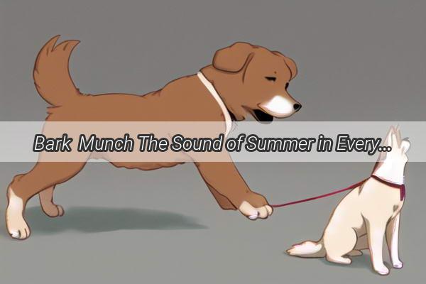 Bark  Munch The Sound of Summer in Every Paws Bite